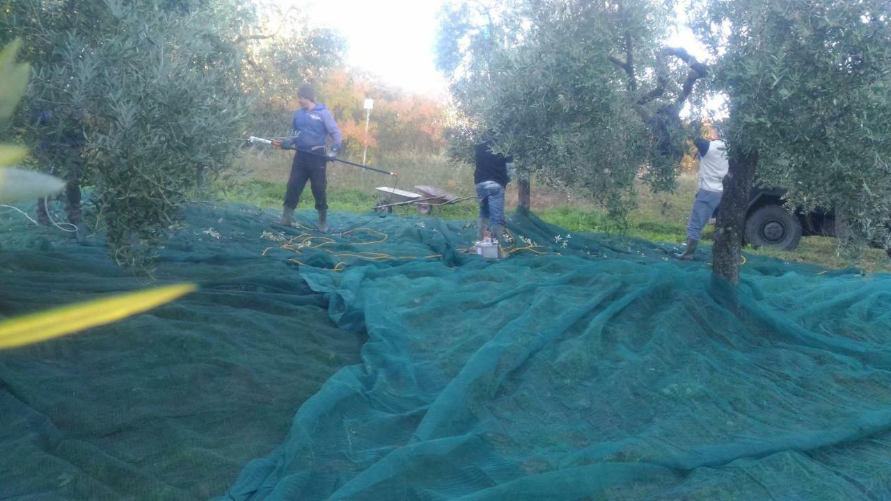 Baduerughe - Valledellago Poggio Mirteto Eksteriør bilde